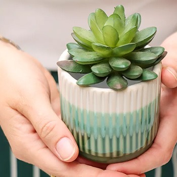 Blumentöpfe in Türkis