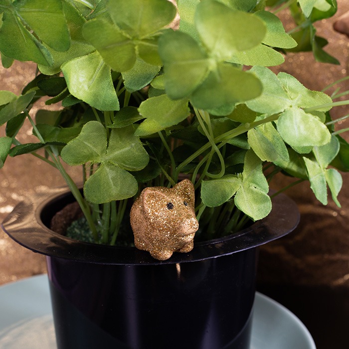 Silvester Glückspflanzen