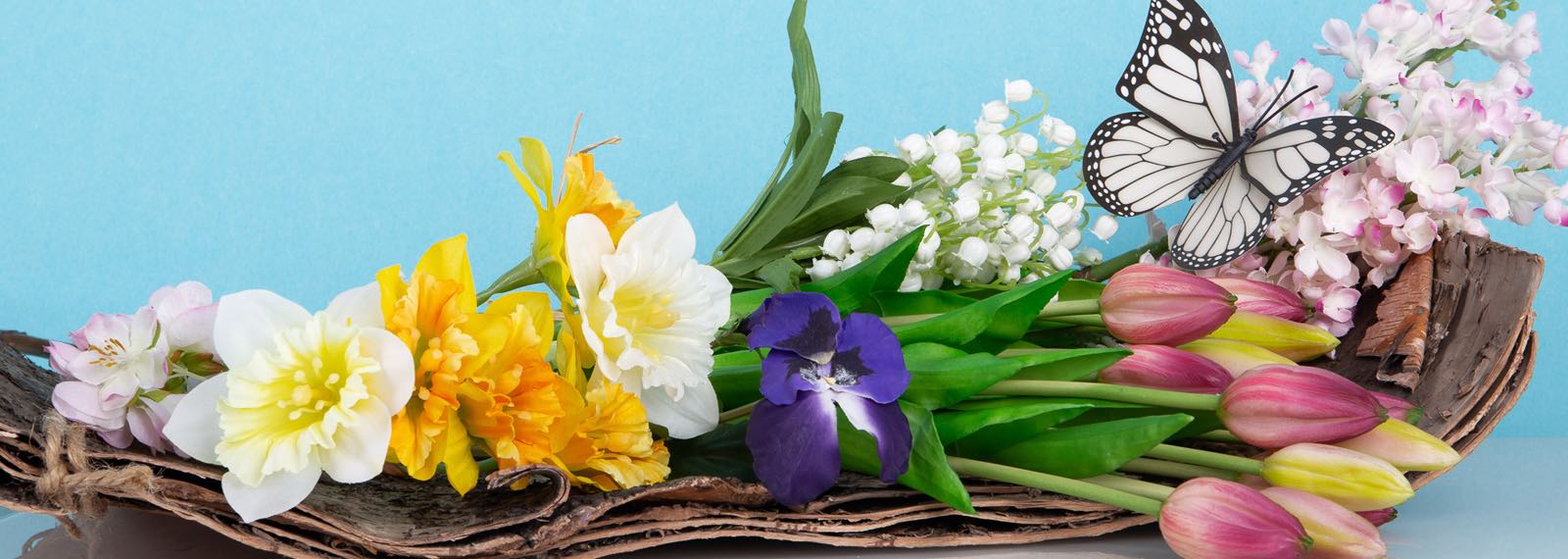 Alle Oster- &amp; Frühlingsblumen